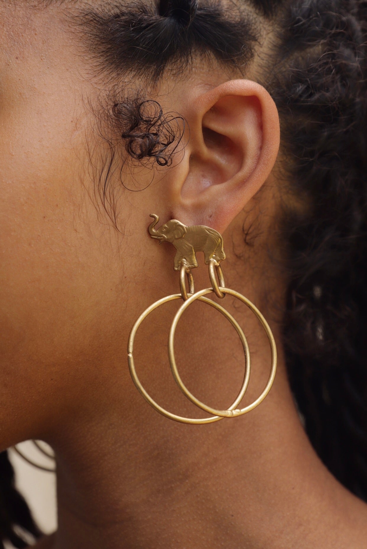 Trunk Double Hoops